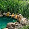 Summer Resin Turtle Statues for Garden Decor - Cute Outdoor & Indoor Mini Turtles